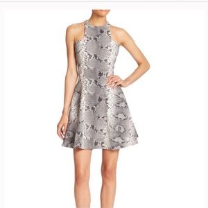 Elizabeth and James snakeskin print dress